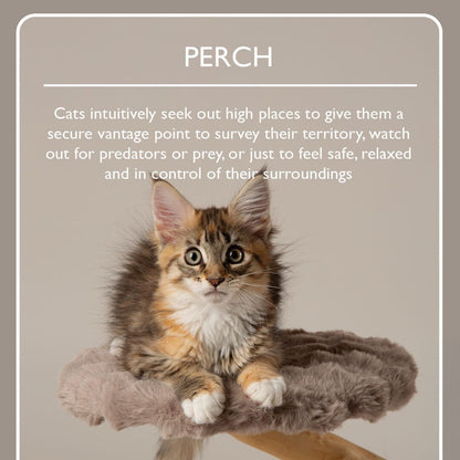 Scruffs Alpine Pyrenees Cat Tree - Taupe