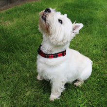 Ancol Red Tartan Adjustable Dog Collar 30-50cm