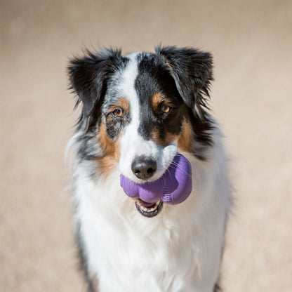 KONG Senior Dog Toy