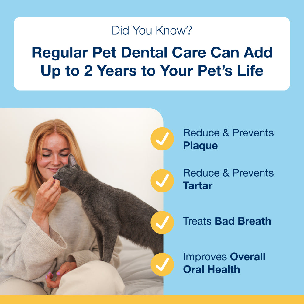 Plaque Off Dental Care Cat Treats - Salmon Bites