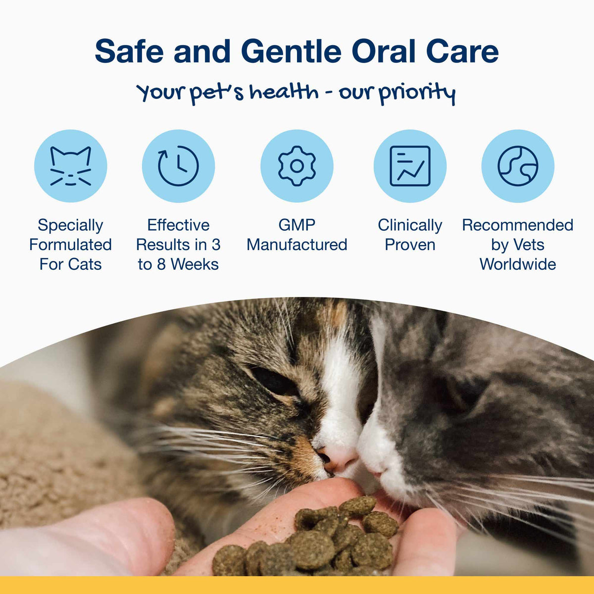 Plaque Off Dental Care Cat Treats - Salmon Bites