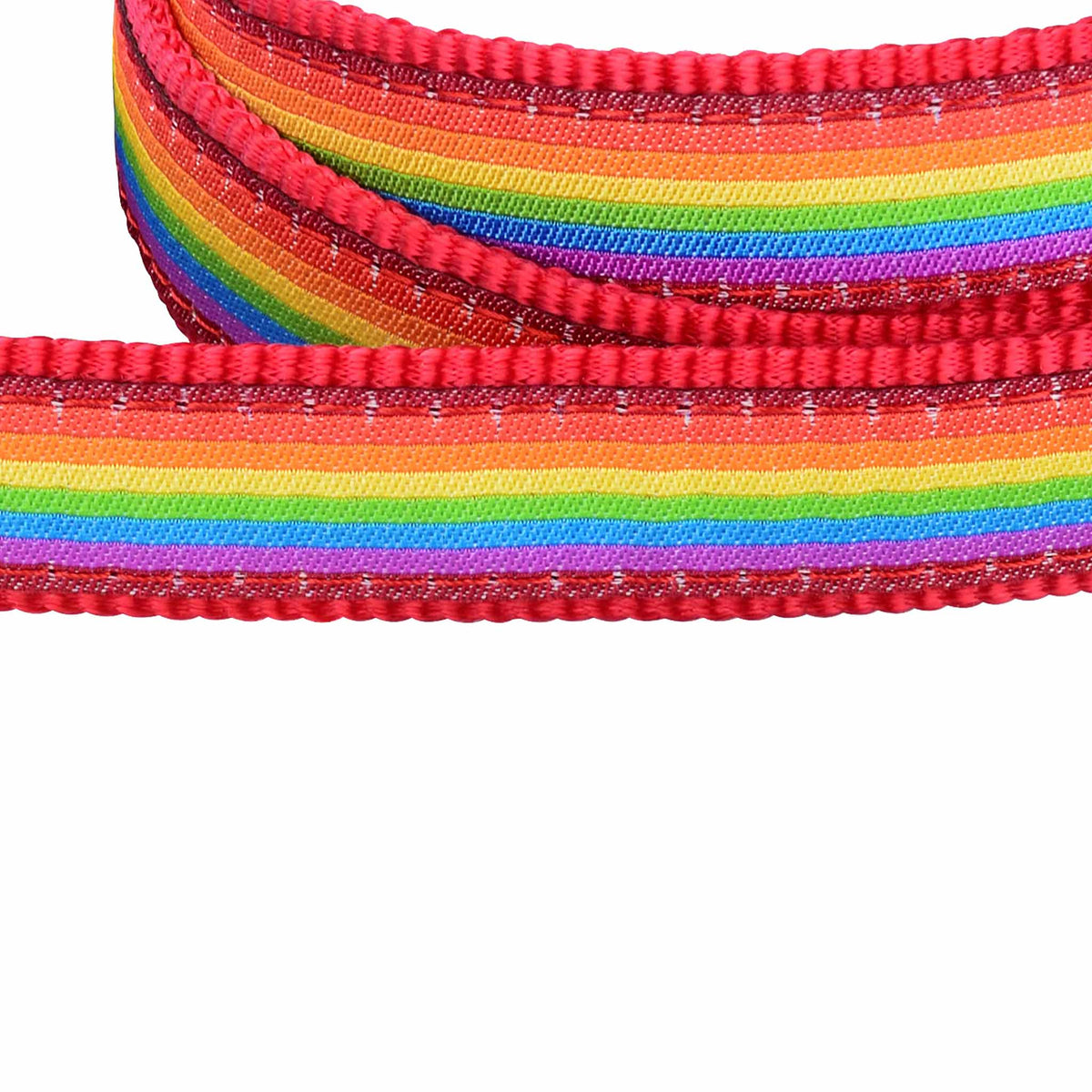 Rainbow Dog Lead