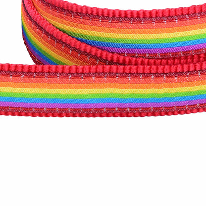 Rainbow Dog Lead