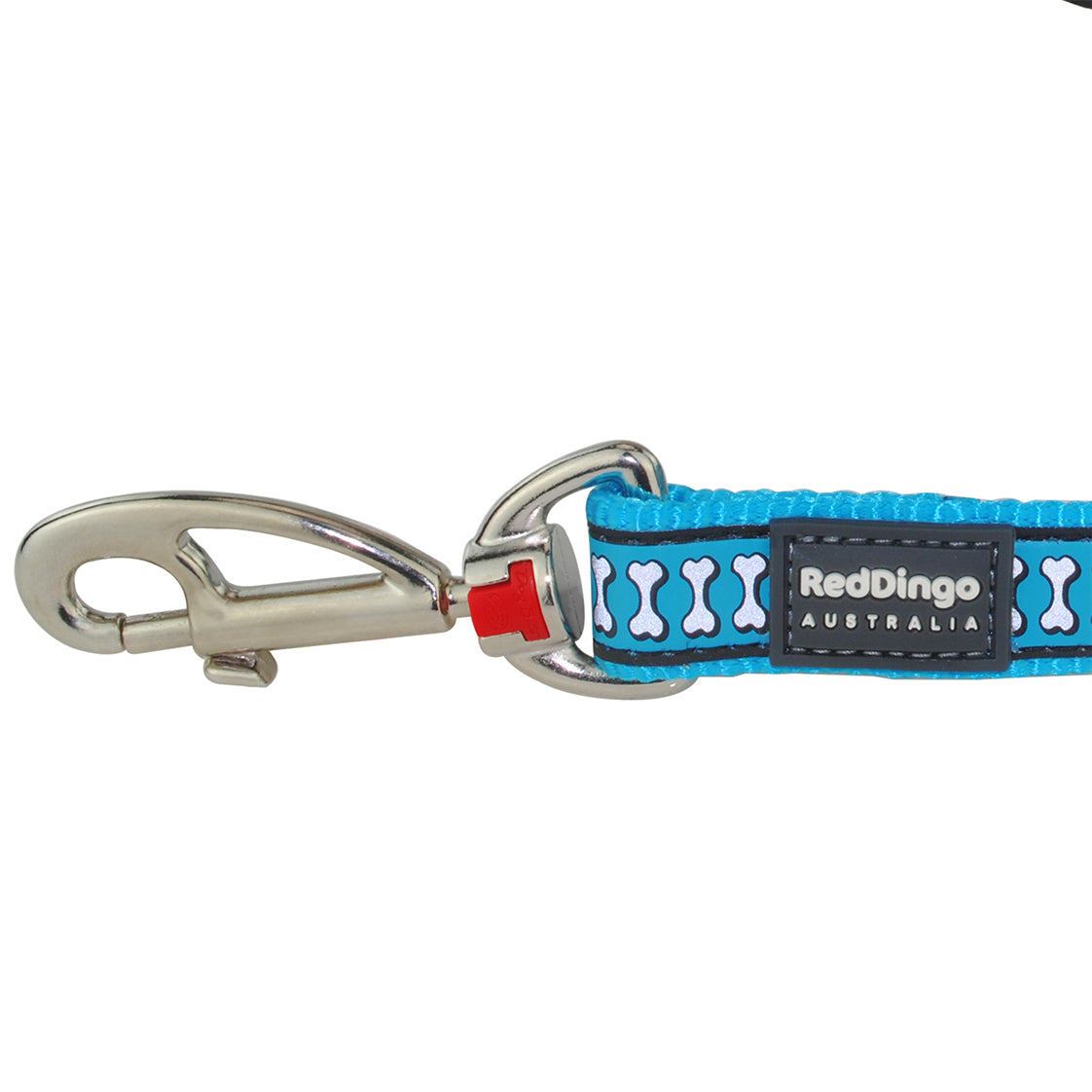 Reflective Dog Lead - Turquoise