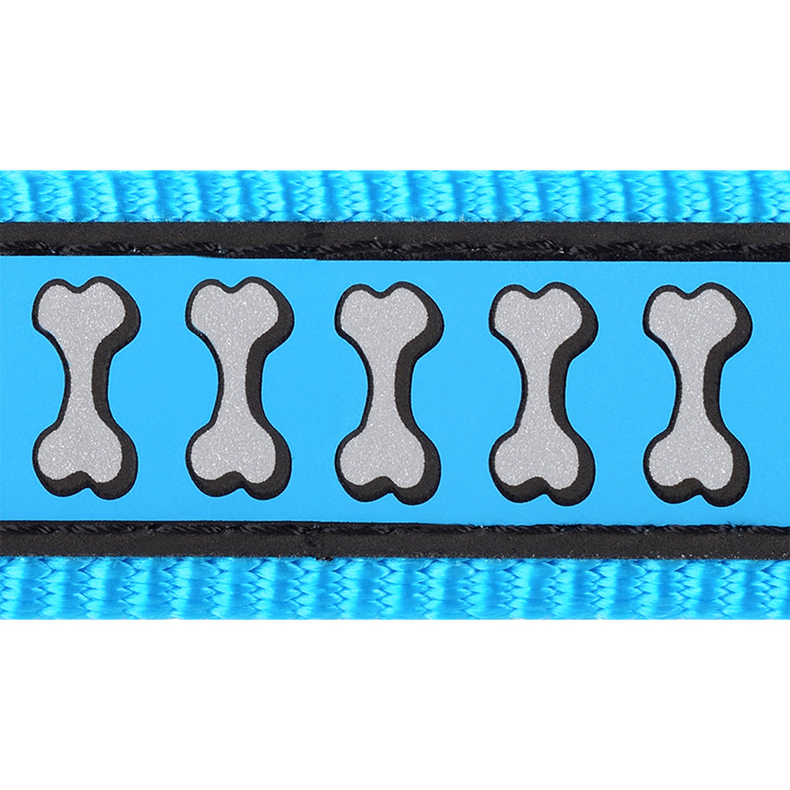 Reflective Dog Lead - Turquoise