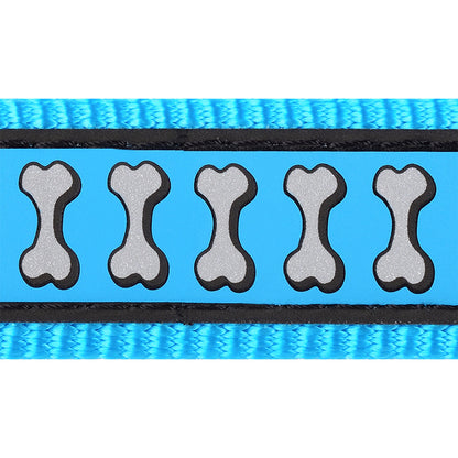 Reflective Dog Lead - Turquoise