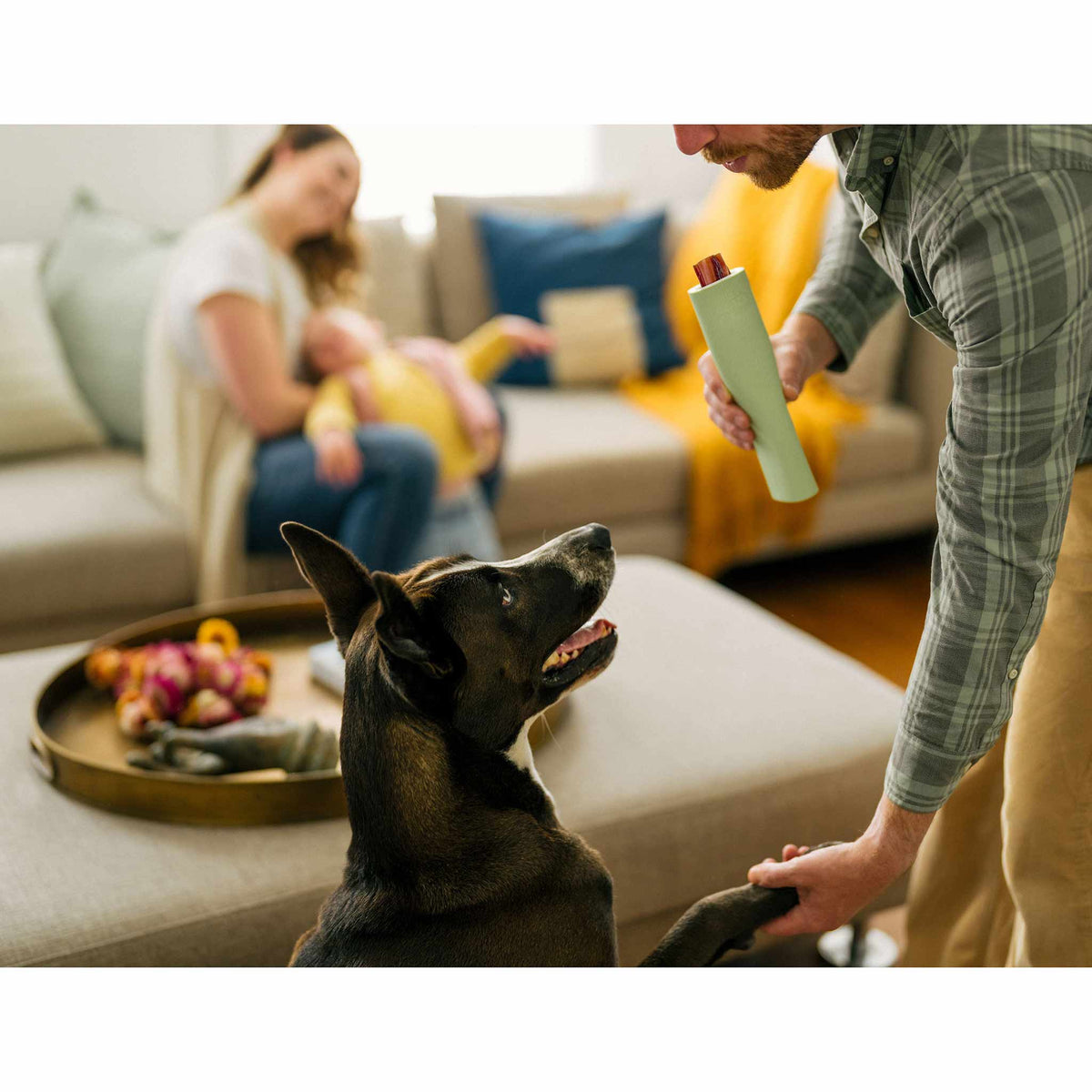 Earth Rated Rubber Chew Dog Toy