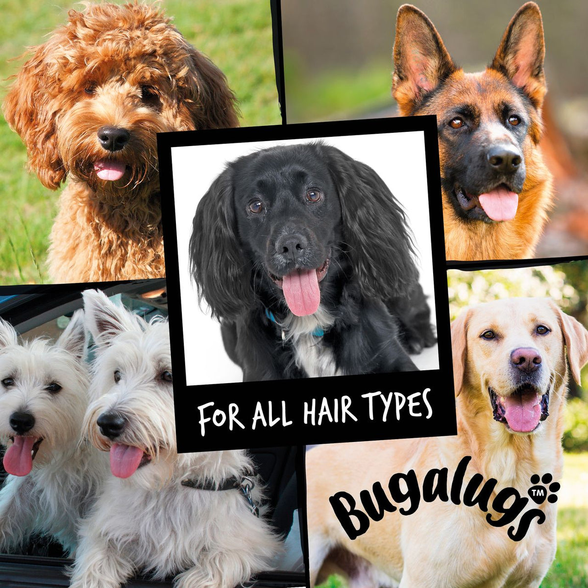 Bugalugs 4-in-1 Lavender & Chamomile Dog Shampoo