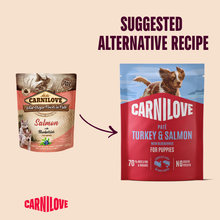 Carnilove Grain Free Puppy Wet Dog Food - Salmon with Blueberries - 12x300g Pouches