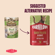 Carnilove Adult Wet Cat Food Pouches - Duck with Catnip in Gravy - 24x85g