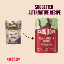 Carnilove Adult Wet Cat Food Pouches - Quail with Dandelion in Gravy - 24x85g