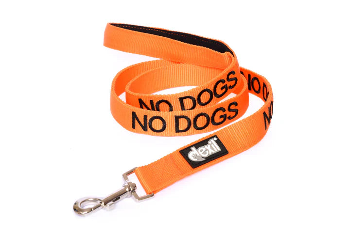 Friendly Dog Collars "No Dogs" Dog Lead