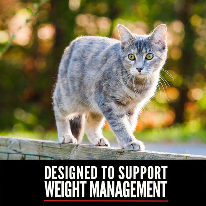 Orijen Fit & Trim Grain Free Dry Cat Food