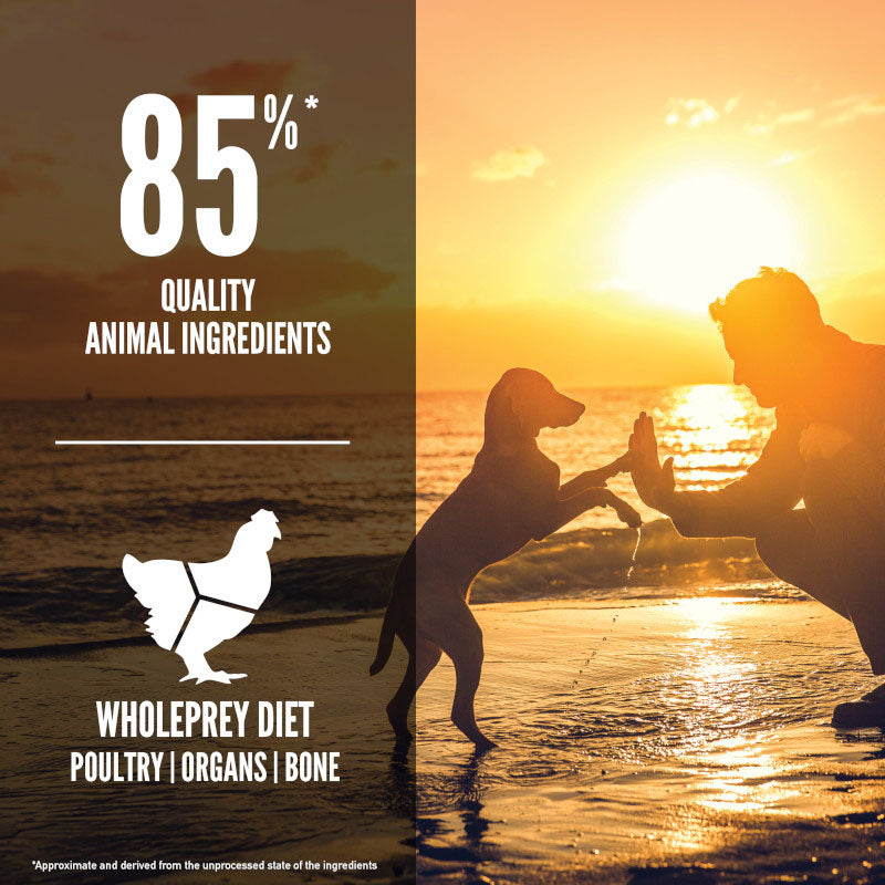 Orijen Puppy Grain Free Dry Dog Food
