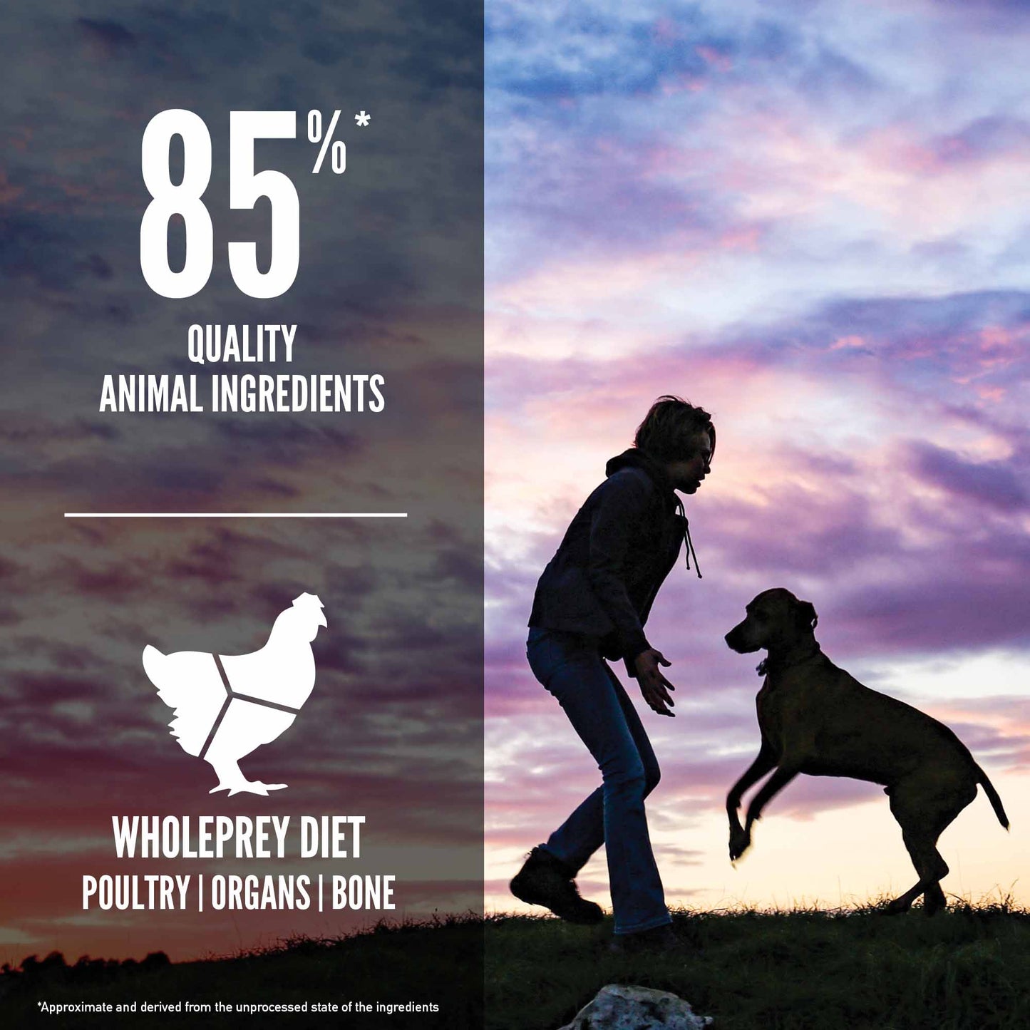 Orijen Puppy Large Breed Grain Free Dry Dog Food