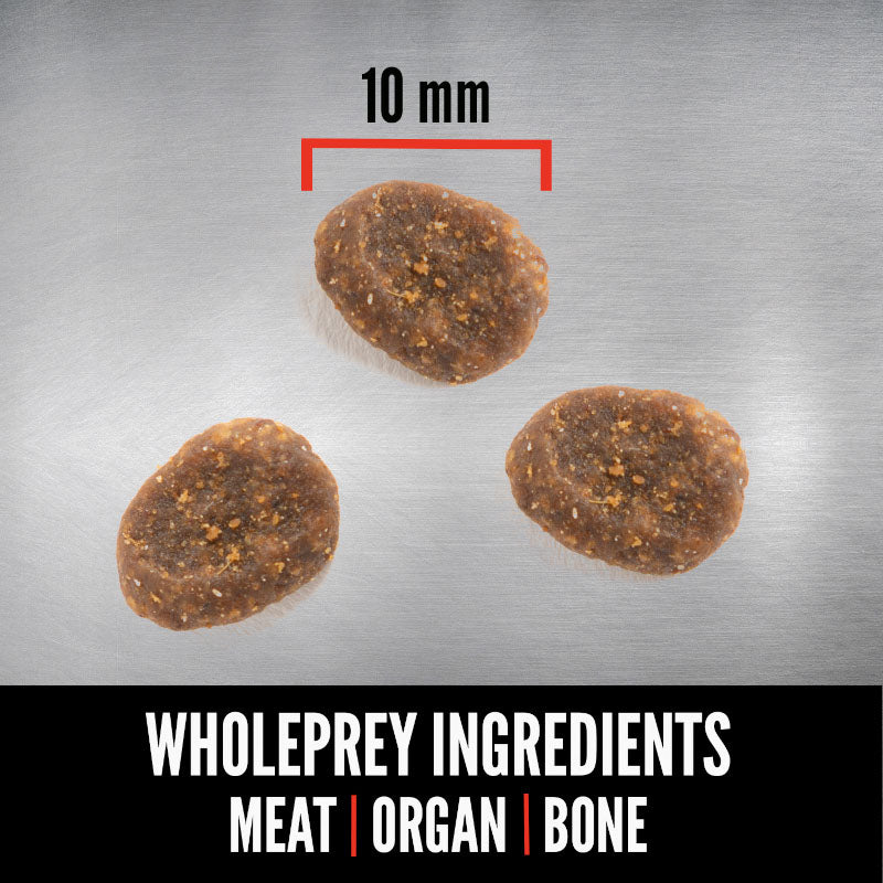Orijen Six Fish Grain Free Dry Cat Food