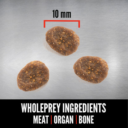 Orijen Six Fish Grain Free Dry Cat Food