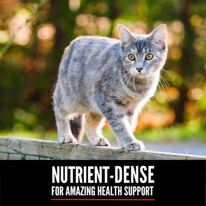 Orijen Six Fish Grain Free Dry Cat Food