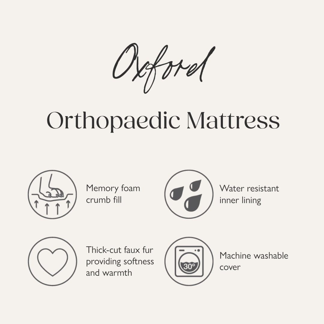 Scruffs Oxford Orthopaedic Mattress Dog Bed - Tan