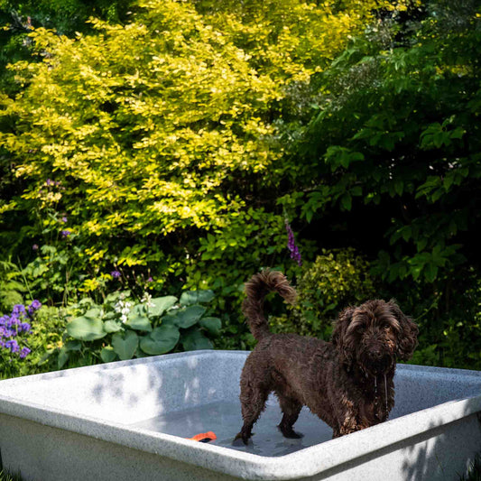 Barkshire Anti-Slip Splash Pool - Capacity 360L