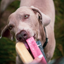 Thistlers Yak Dog Chew - Medium - Apple