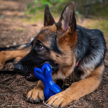 Barkshire Interactive Bone Dog Toy - Blue