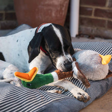 KONG Shakers Honkers Duck Dog Toy - Large