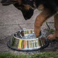 Barkshire Stainless Steel Non-Slip Pet Bowl - 19cm