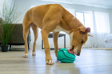 KONG Licks Rewards Dog Toy