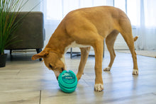 KONG Licks Rewards Dog Toy