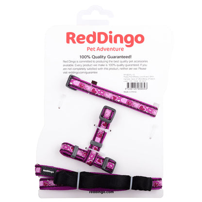 Breezy Love Puppy Collar, Lead & Harness - Purple