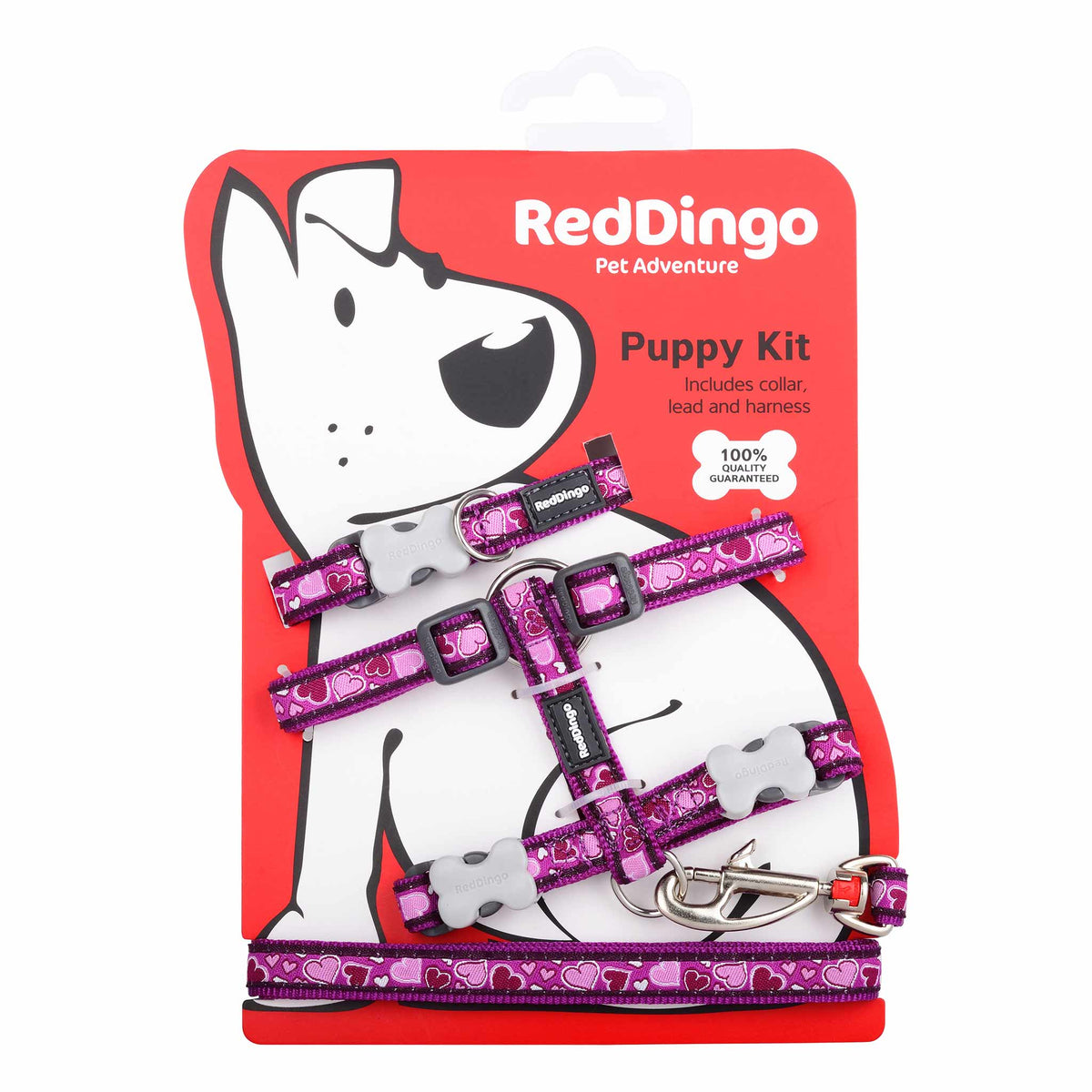 Breezy Love Puppy Collar, Lead & Harness - Purple