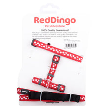 Puppy Collar, Lead & Harness - Red & White Spots