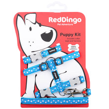 Puppy Collar, Lead & Harness - Turquoise