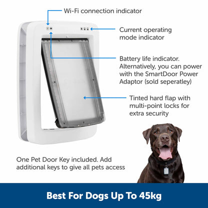 PetSafe SmartDoor Connected Pet Door - Large