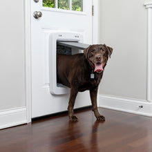 PetSafe SmartDoor Connected Pet Door - Large