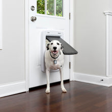 PetSafe SmartDoor Connected Pet Door - Large