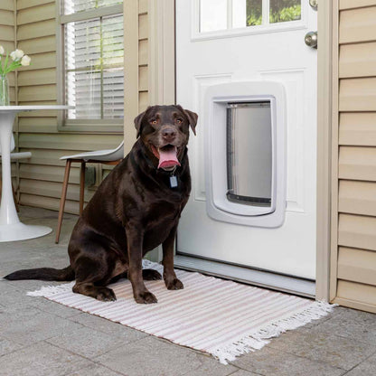 PetSafe SmartDoor Connected Pet Door - Large