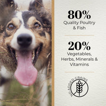 Ferguson Original 80/20 Grain Free Dry Dog Food