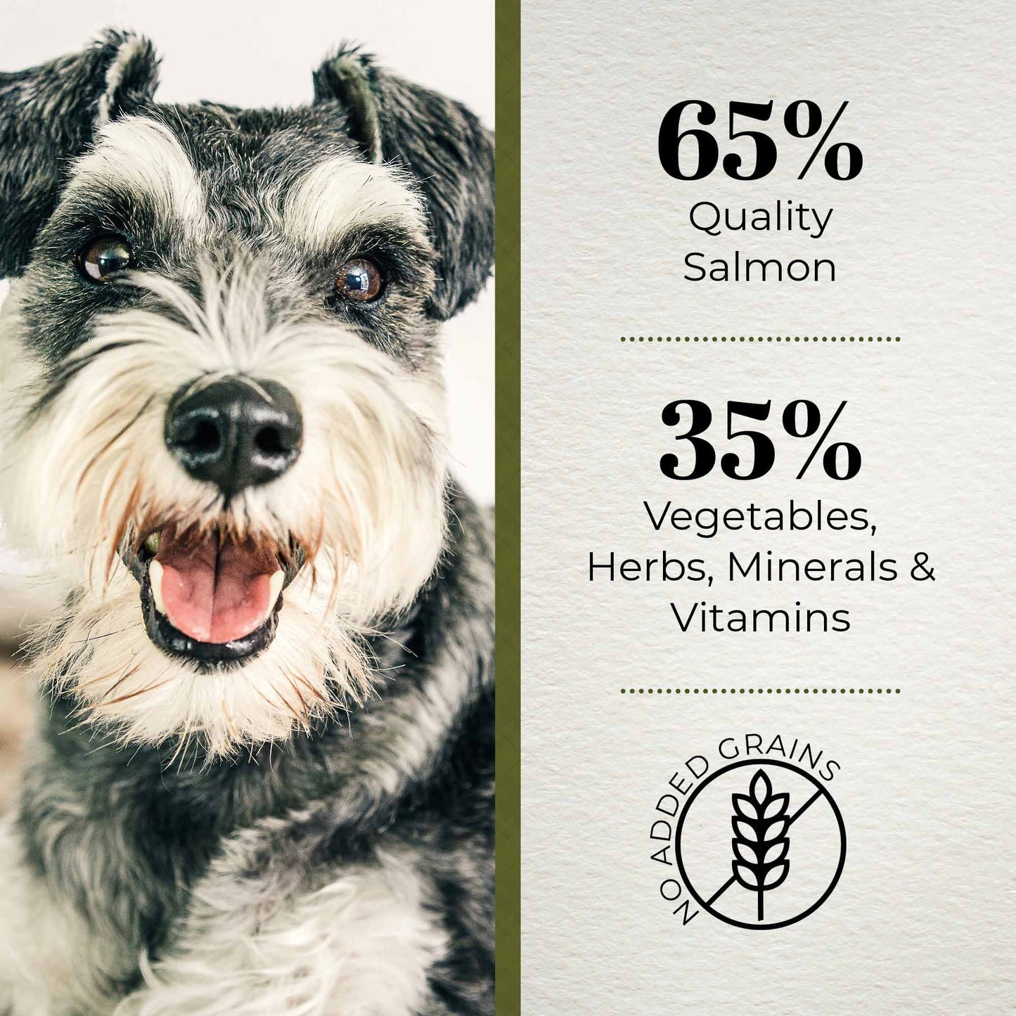 Ferguson Scottish Salmon Senior Dry Dog Food