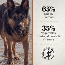 Ferguson Scottish Salmon Adult Light Dry Dog Food