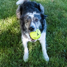 KONG Reflex Ball Large Dog Toy