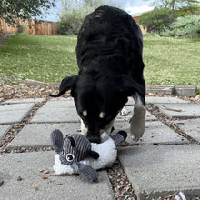 KONG Sherps Floofs Sheep Dog Toy