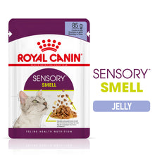 Royal Canin Feline Health Nutrition Sensory Smell in Jelly Wet Cat Food - 12x85g Pouches