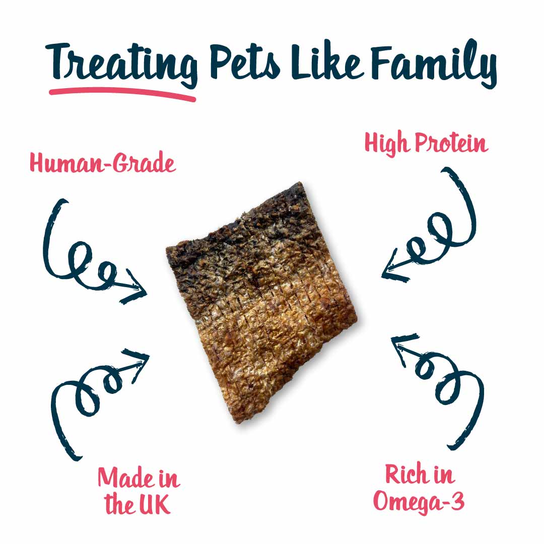Snif-Snax Salmon Skin Cracklings Dog Treats - 30g