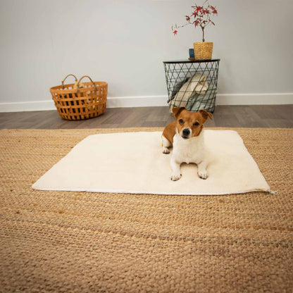 Ancol Self-Heating Pet Pad - Small 48x38cm