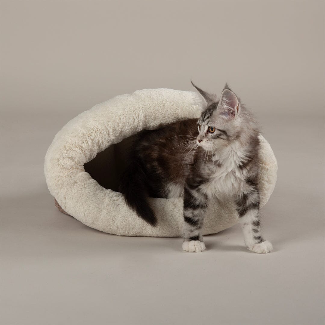 Scruffs Seattle Crinkle Cat Sleeping Bag - Sienna Brown