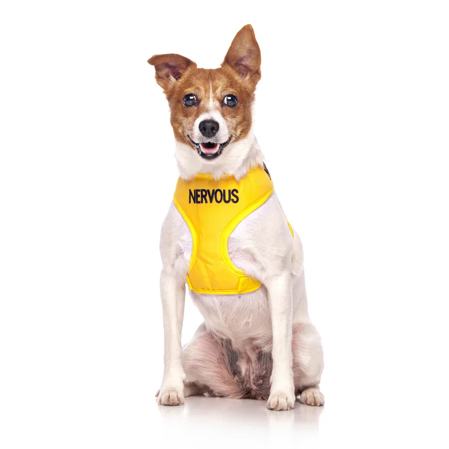 Friendly Dog Collars "Nervous" Dog Harness