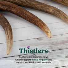 Thistlers Antler Dog Chew - Large