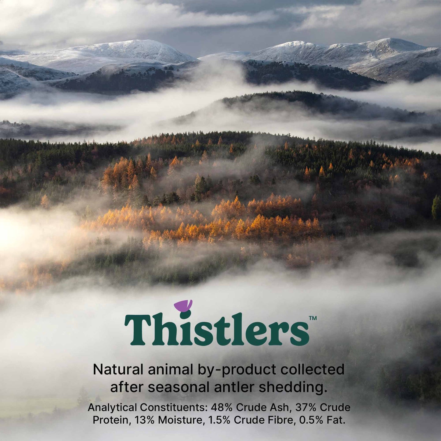 Thistlers Antler Dog Chew - Small